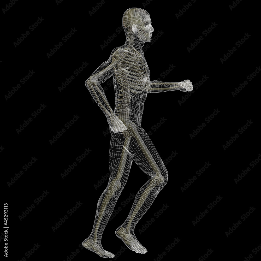 High resolution 3D human ideal for anatomy,medicine and health High resolution 3D human ideal for anatomy,medicine and health