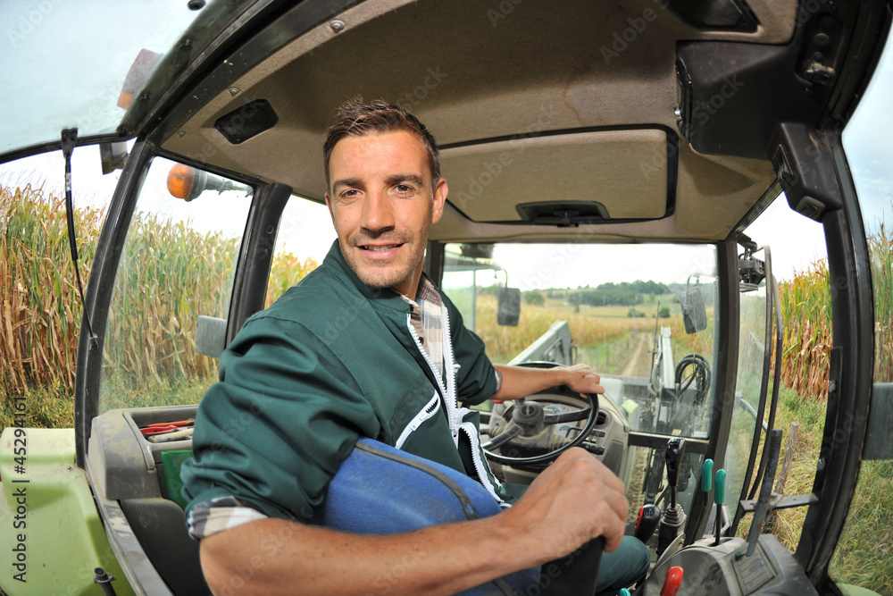 Fototapeta premium Farmer driving tractor in corn field