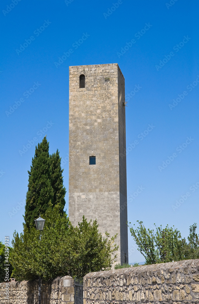Tower and Campo Cialdi. Tarquinia. Lazio. Italy.