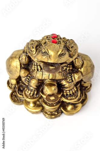 The Chinese symbol of riches.Frog of prosperity