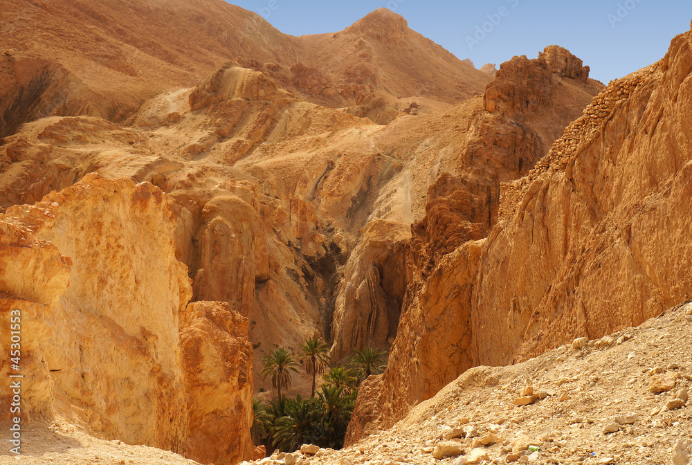 Panoramic view of the Chebika oasis in the desert of Tunisia