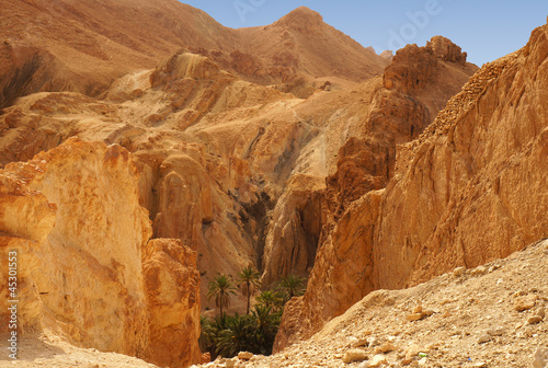 Panoramic view of the Chebika oasis in the desert of Tunisia © etra_arte