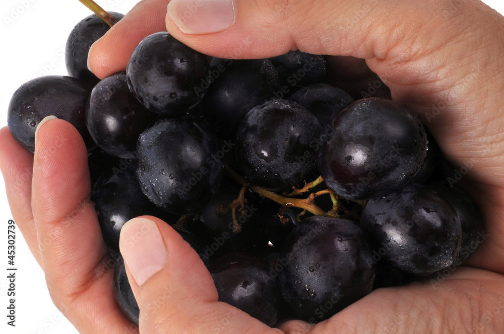 Grappe de raisin noir Grappe de raisin noir