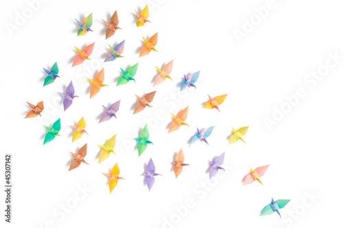 Colorful paper birds