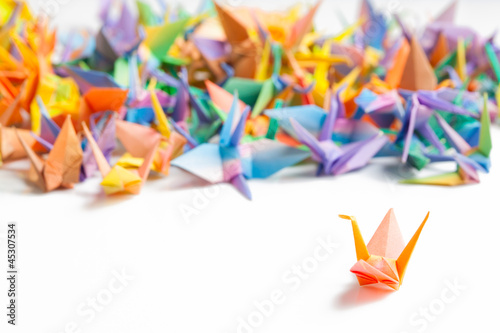 Colorful paper birds
