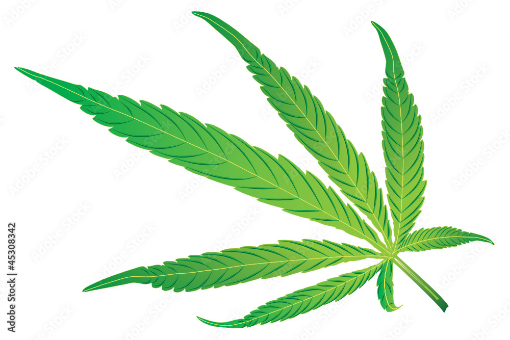 WEB ART DESIGN CANNABIS LEAF FEUILLE VECTOR 200 WEB ART DESIGN CANNABIS LEAF FEUILLE VECTOR 200
