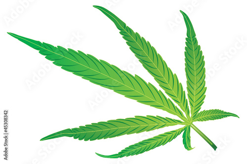 WEB ART DESIGN CANNABIS LEAF FEUILLE VECTOR 200