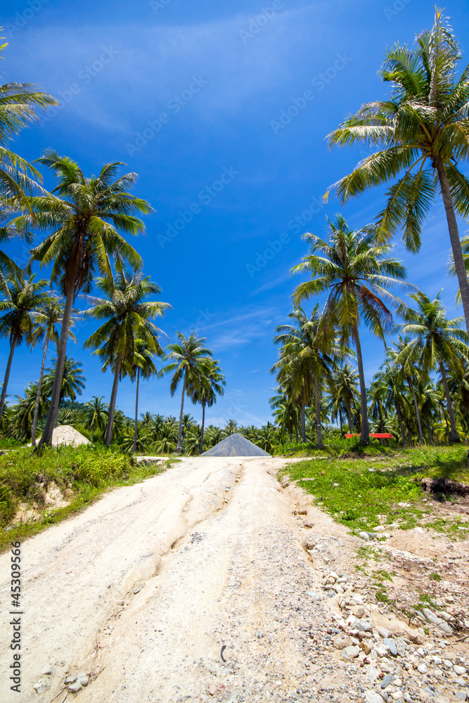road on island
