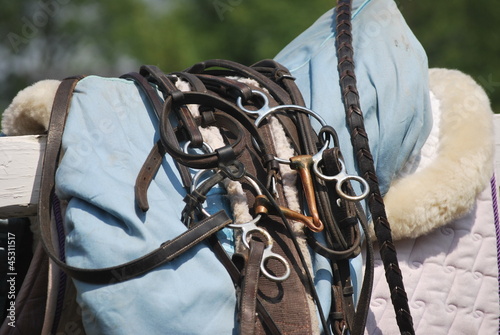 equestrian horse back riding equipment