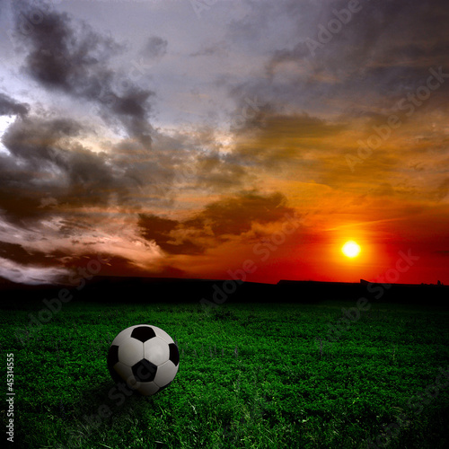 ball on the field © Dmitry Perov