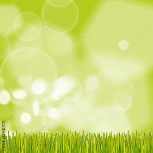 green grass on background