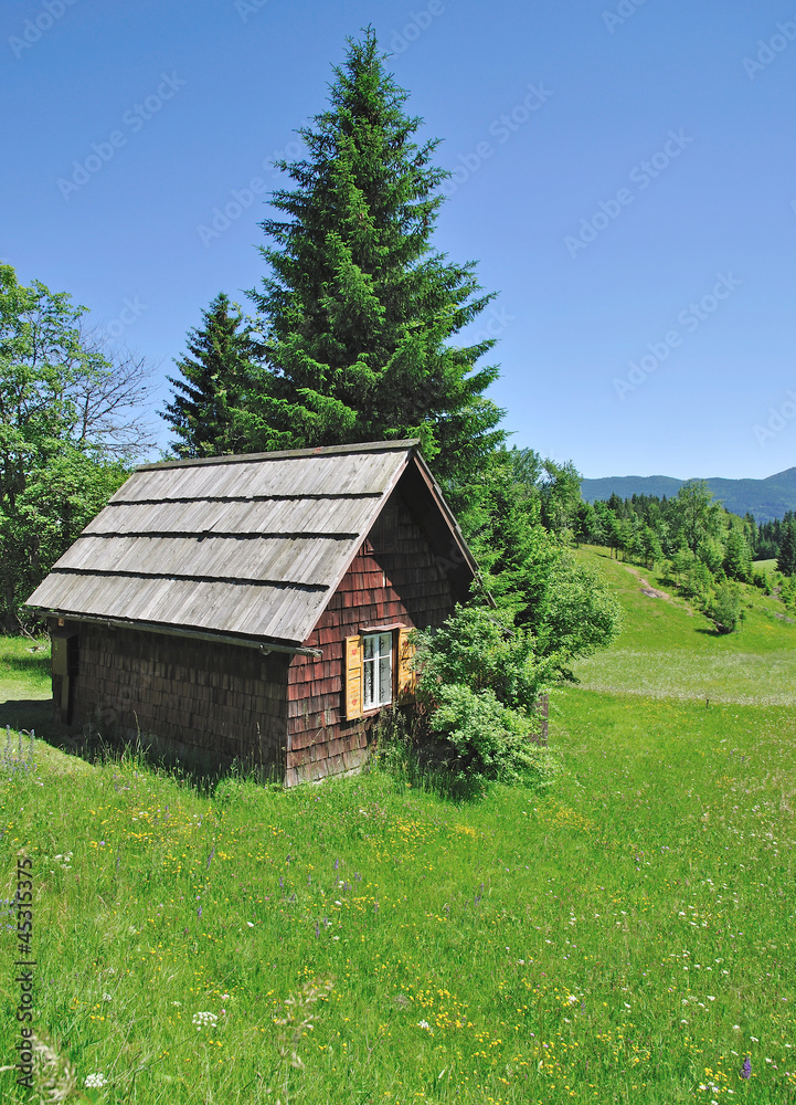 die alpine Pokljuka-Hochebene in Slovenien nahe Bled