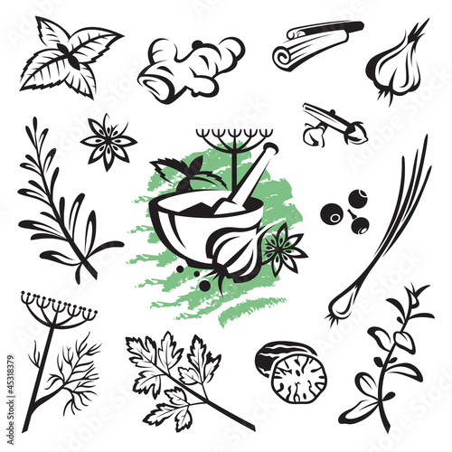 set of different herbs and spices