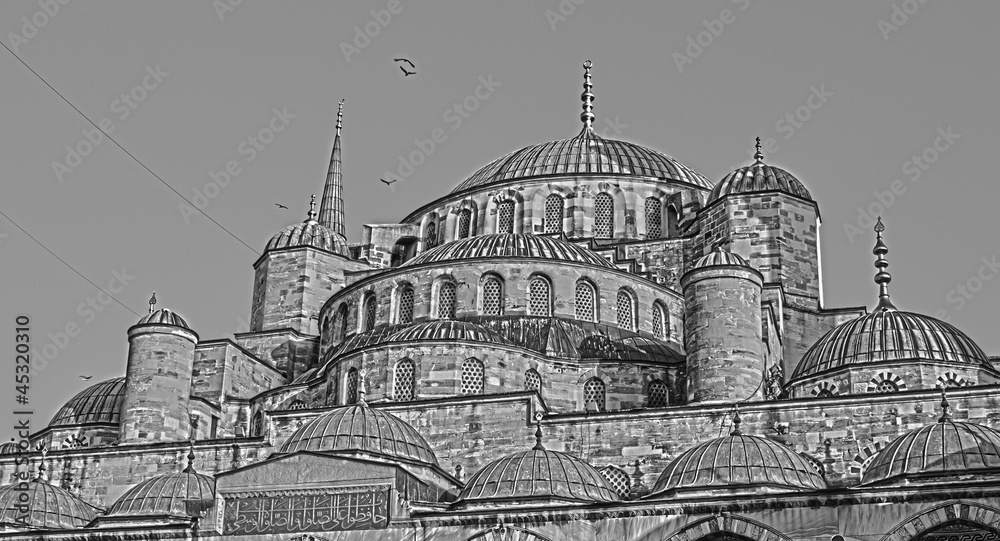 Blue Mosque at Istanbul Turkey, Black White HDR