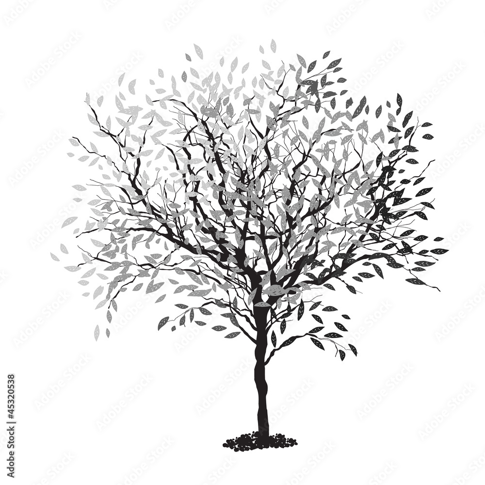 Tree silhouette. The trunk and leaves in separate layers. Vector Tree silhouette. The trunk and leaves in separate layers. Vector