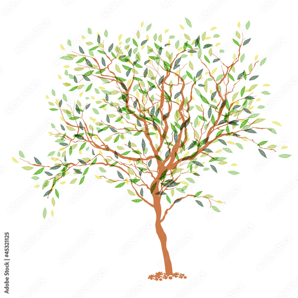 Obraz premium Tree. The trunk and leaves in separate layers. Vector illustrati
