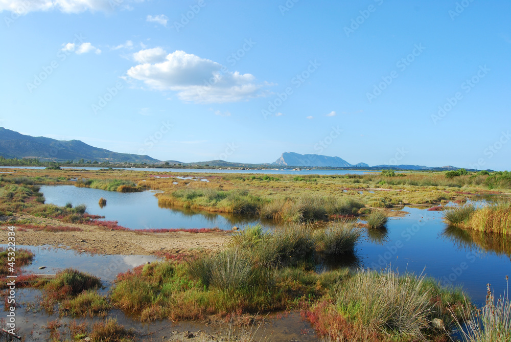 The pond of San Teodoro - Sardinia - Italy - 587