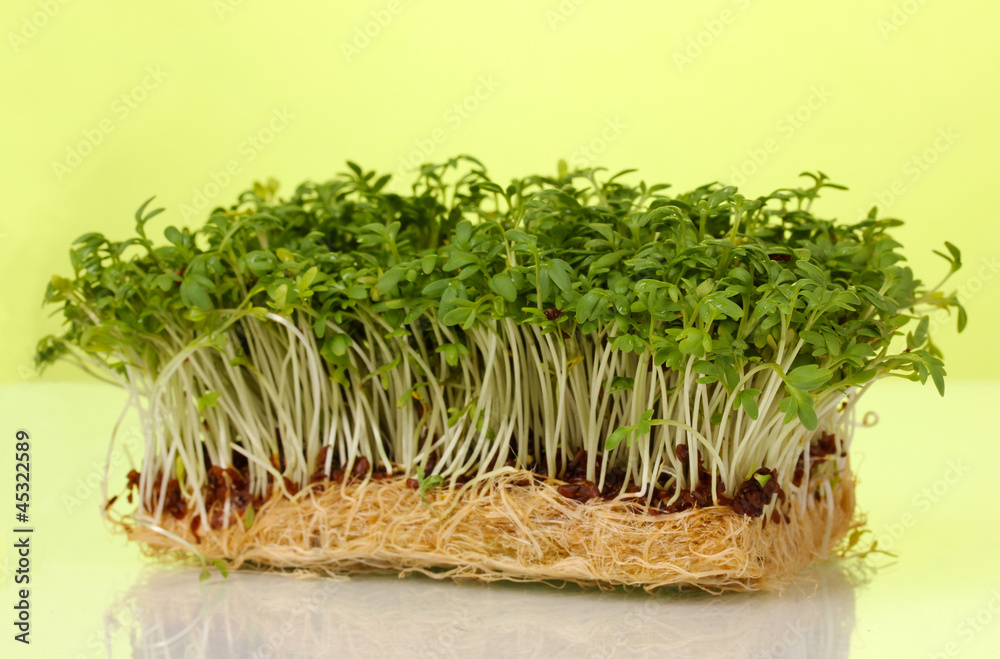Fresh cress salad on green background Fresh cress salad on green background