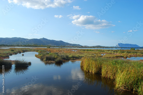 The pond of San Teodoro - Sardinia - Italy - 579