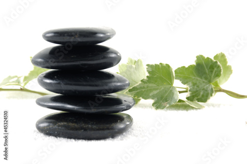 lying on green leaf and Balanced black pebbles