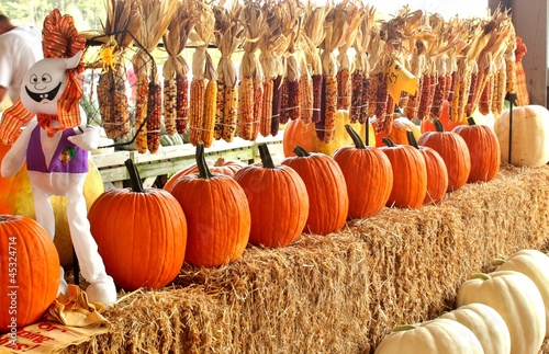 Pumpkins and Indian corn