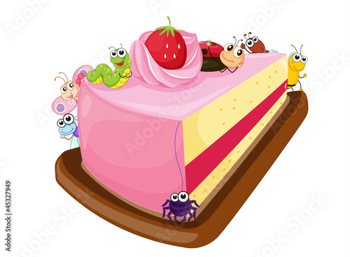 cake and various insects