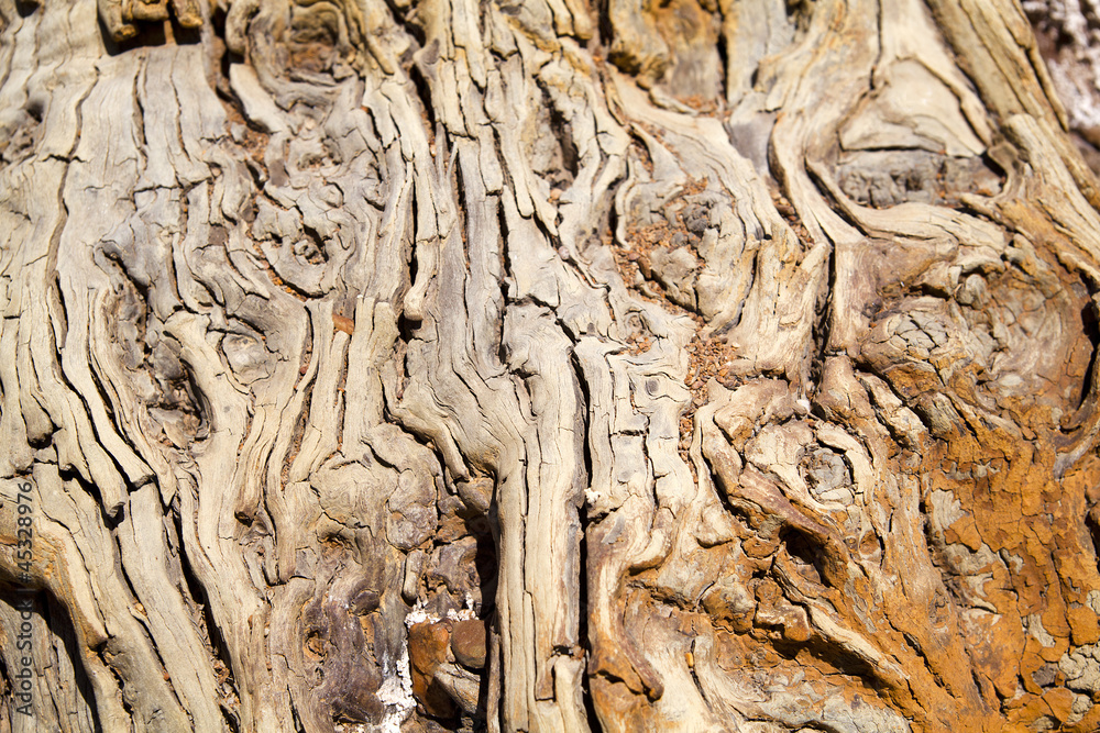 old wood texture