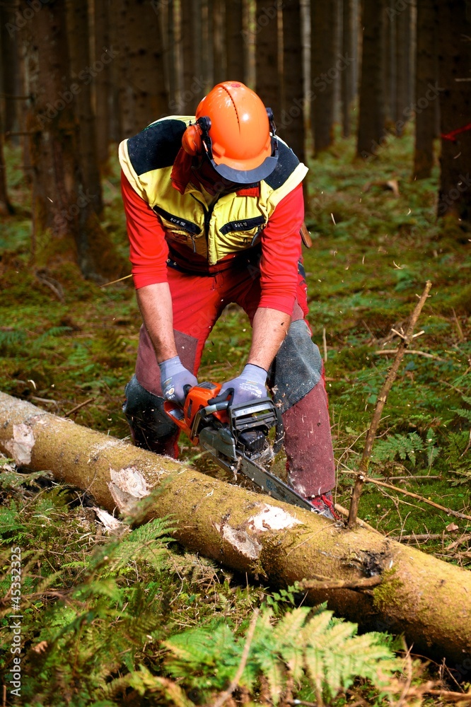 Waldarbeiterin schneidet liegendes Holz - Entasten Waldarbeiterin schneidet liegendes Holz - Entasten