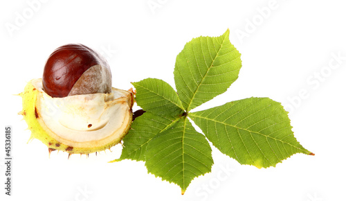 Tableau sur toile Chestnuts on colorful autumn