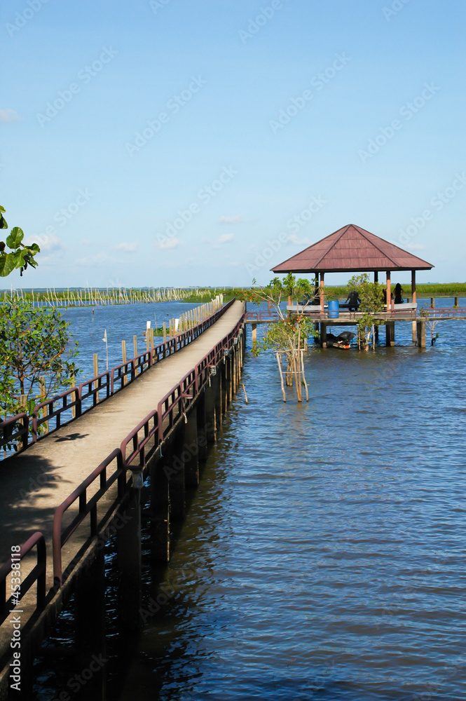 Bridge into the lake