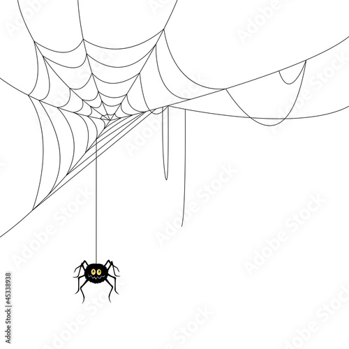 Vector Illustration of a Spider and a Web