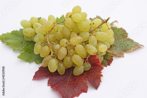 Tableau sur toile Raisin sans pépins