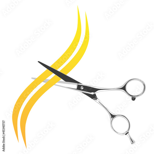 barber scissors