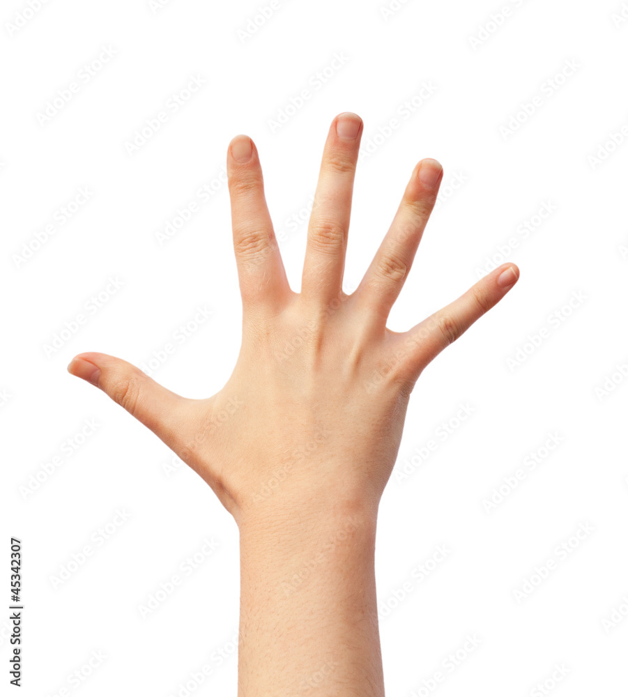 Fototapeta premium Human hand over white