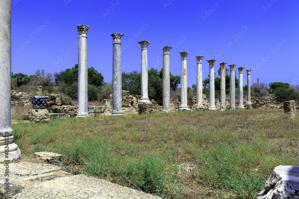Ruins of Salamis near Famagusta
