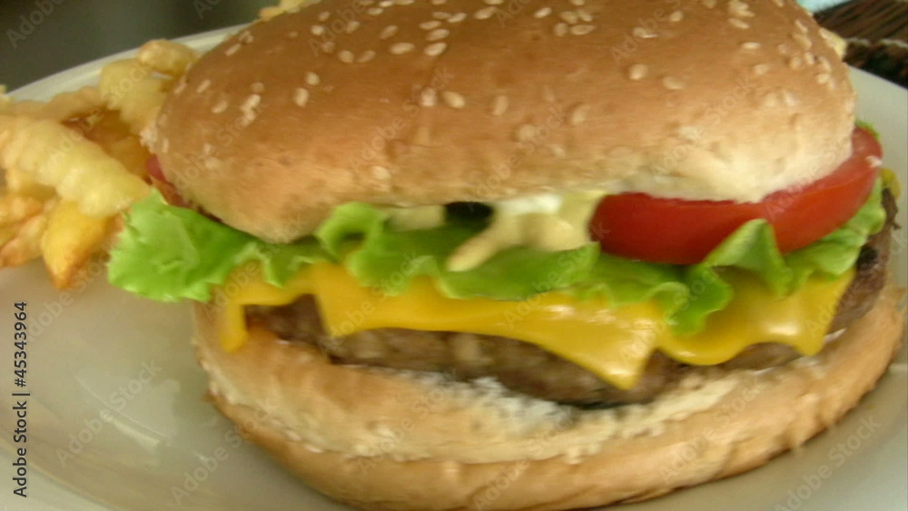Cheeseburger and fries Cheeseburger and fries