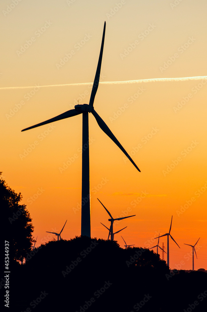 Obraz premium silhouette of wind generators
