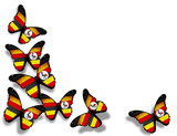 Uganda flag butterflies, isolated on white background