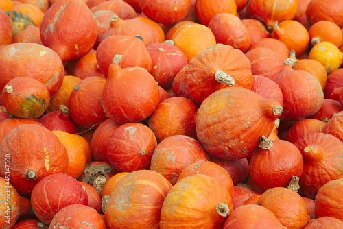 Pile of pumpkins for sale