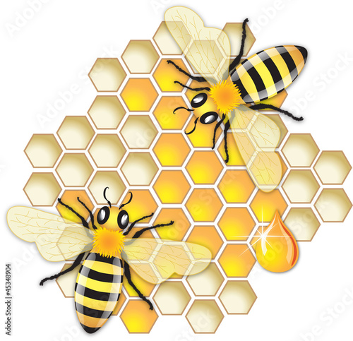 Bees at Work
