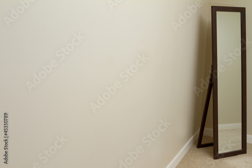 Empty room with carpet and mirror. 