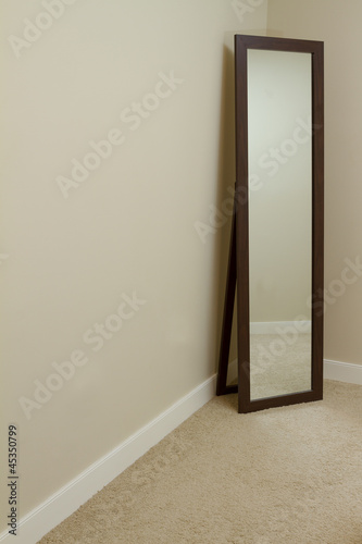 Empty room with carpet and mirror. 