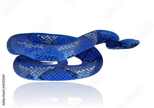 Beautiful blue water snake realistic