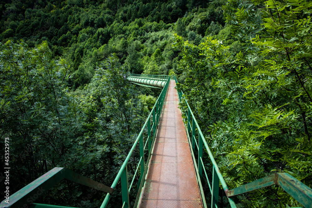 tubazione sospesa nella foresta