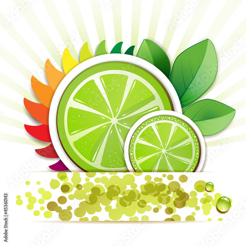 Slice of lime with leafs