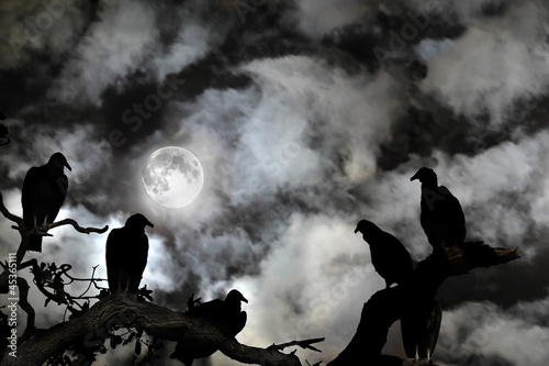 Vultures silhouetted against a full moon and spooky sky