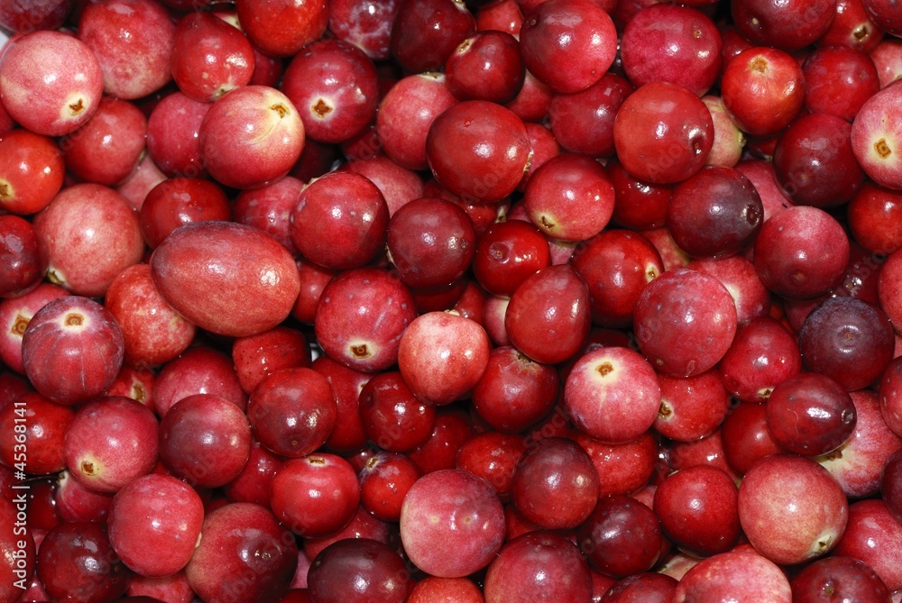 cranberries
