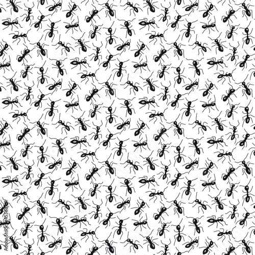 pattern con formiche