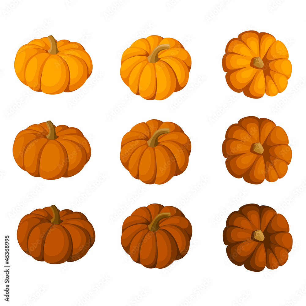 Set of nine vector pumpkins isolated on a white background.