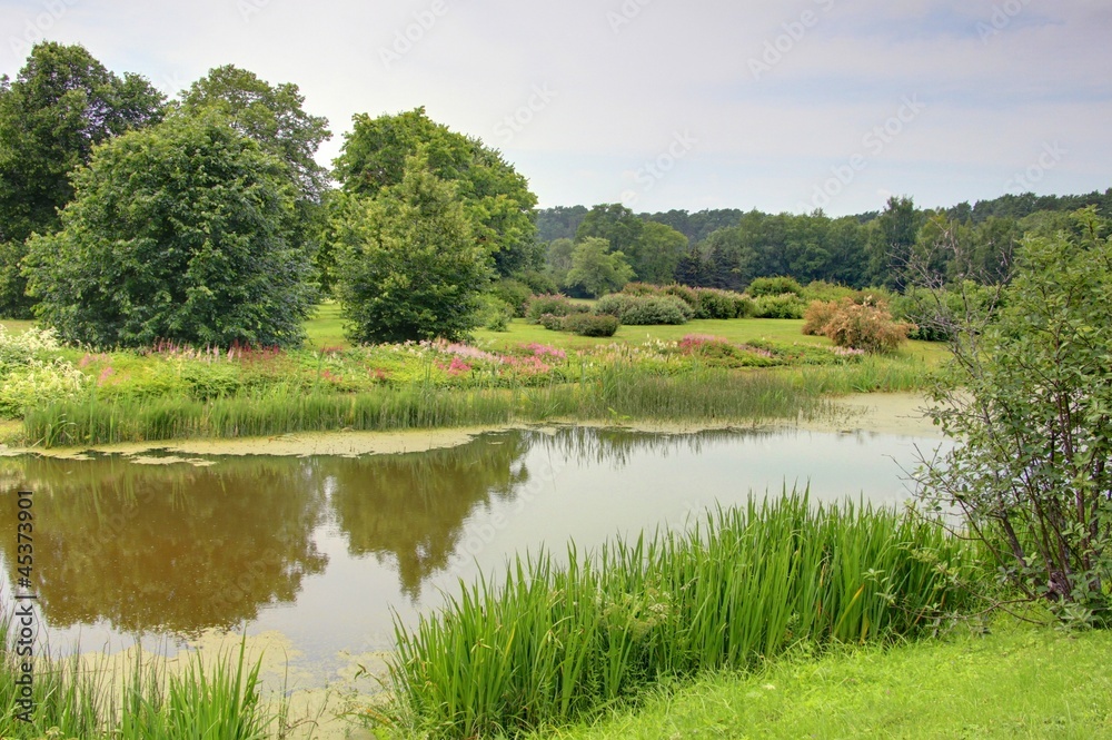 Fototapeta premium jardin à tallin